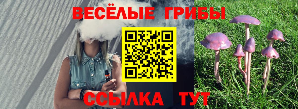 Галлюциногенные грибы ЛСД Черногорск