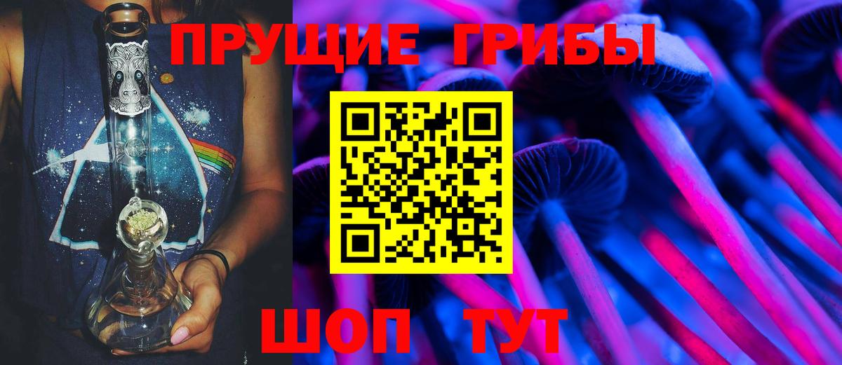 Галлюциногенные грибы прущие грибы  Вход с VPN  Черногорск  Псилоцибиновые грибы Psilocybine cubensis 